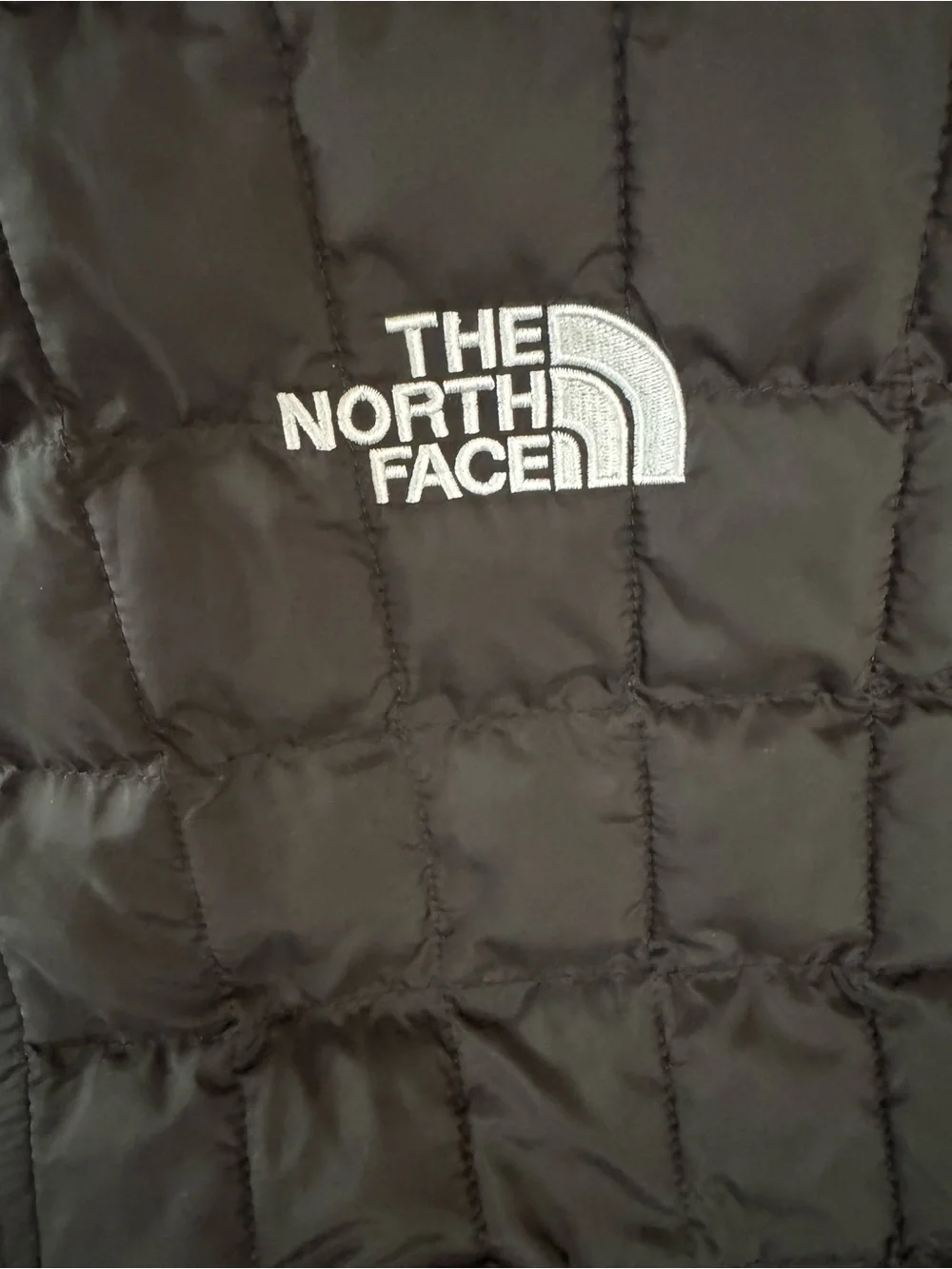 The North Face Men’s  M ThermoBall Eco Vest Full Zip Puffer Black Logo